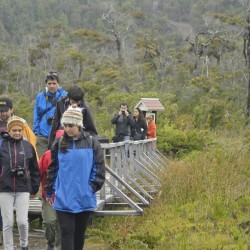 Parque Nacional Chiloé "En la ruta de Darwin" 