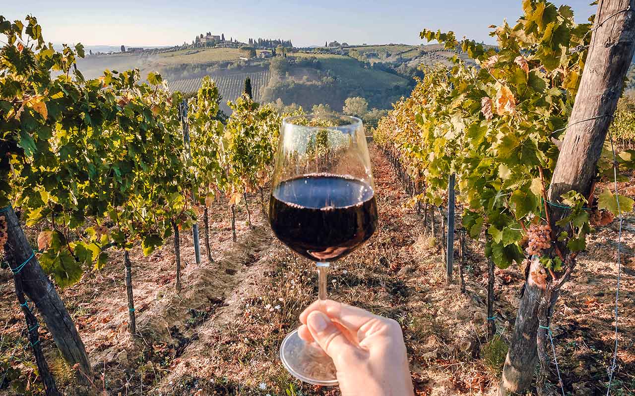 Las 6 mejores vendimias de viñas en Chile que debes visitar ...