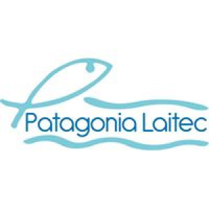 Patagonia Laitec