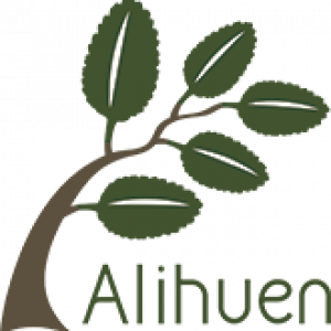 Alihuen