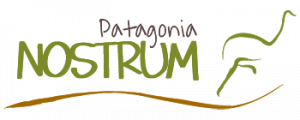 Patagonia Nostrum 