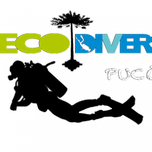 Logo Ecodivers Pucón